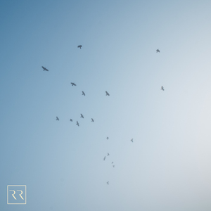 自慰摩擦大荫蒂毛茸茸
